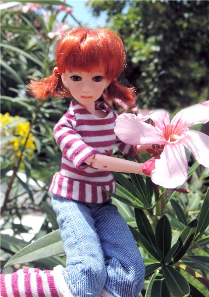 Женькина поездка — Куклы и тела Obitsu (Обитсу): 1/6