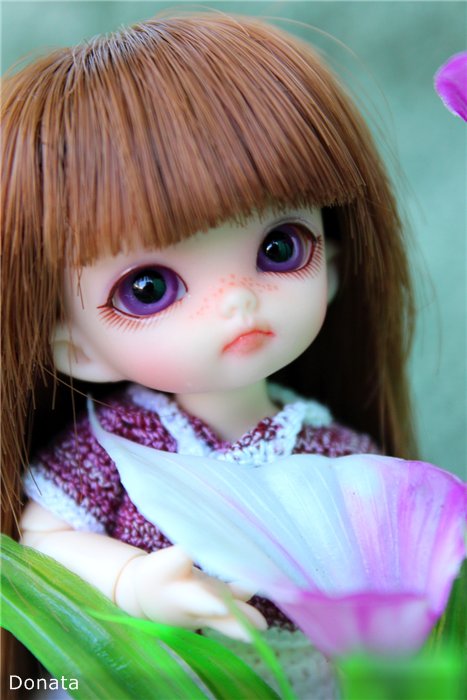 Фотосессия горшковой группы :) Fairyland Pukipuki | Бэйбики Фотосессия горшковой группы :) Fairyland Pukipuki (фото 6)