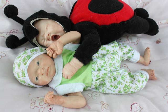 ООАК августа. Мы просыпаемся