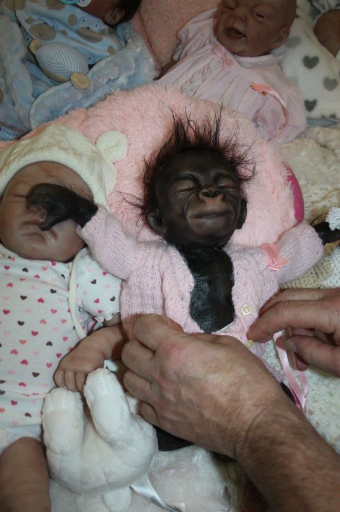 Выставка кукол, мишек тедди, кукольных домиков и миниатюры в Нидерландах. Заключение