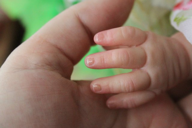 Чудо в перьях, кукла-реборн Элины Кудрявцевой