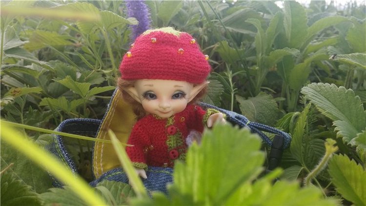 Земляничный день — Домашние коллекции кукол: фото собраний (фото 7)