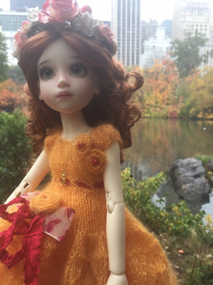 Луна гуляет в Центральном Парке в Манхаттане