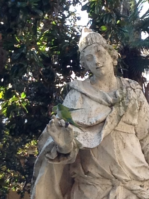 Приключения Минуш в Италии. Часть 7. Рим - Вечный вечноюный город