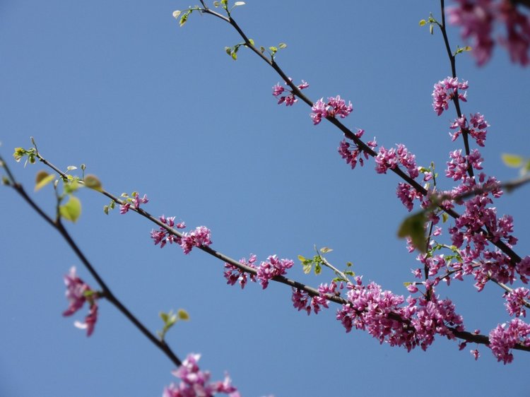 Первое мая. Сложно быть бунтарем, когда ты - милая девочка