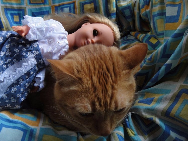 Как Шарлотта ездила на дачу