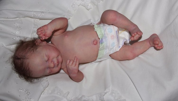 Моя любимая девочка Americus (фото 9)