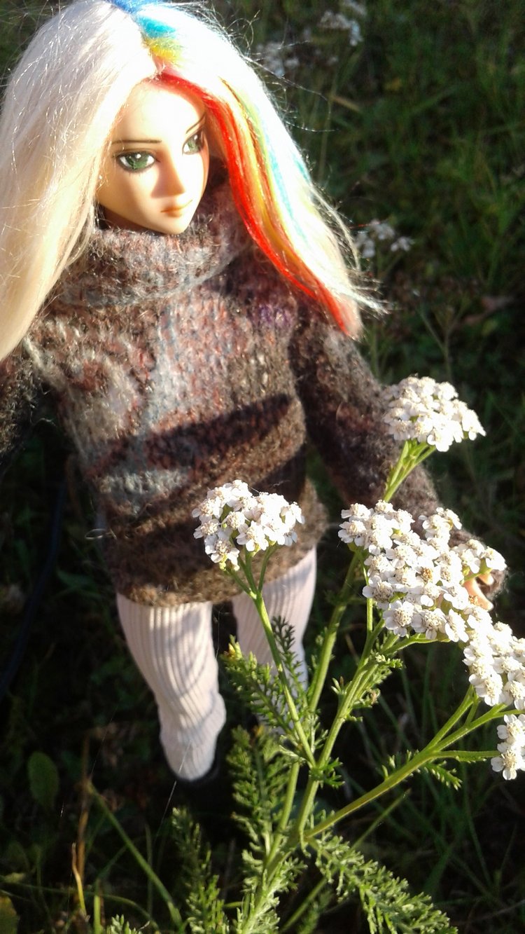 Зимнее солнце. Глава 10. Джаред из семьи Фоксов