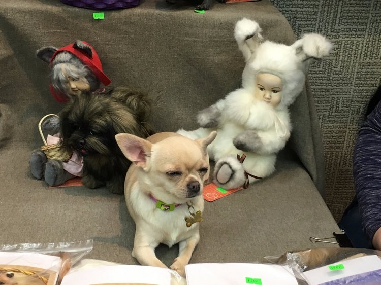 Выставка "Hello Teddy" на Тишинке - мой взгляд - часть 1