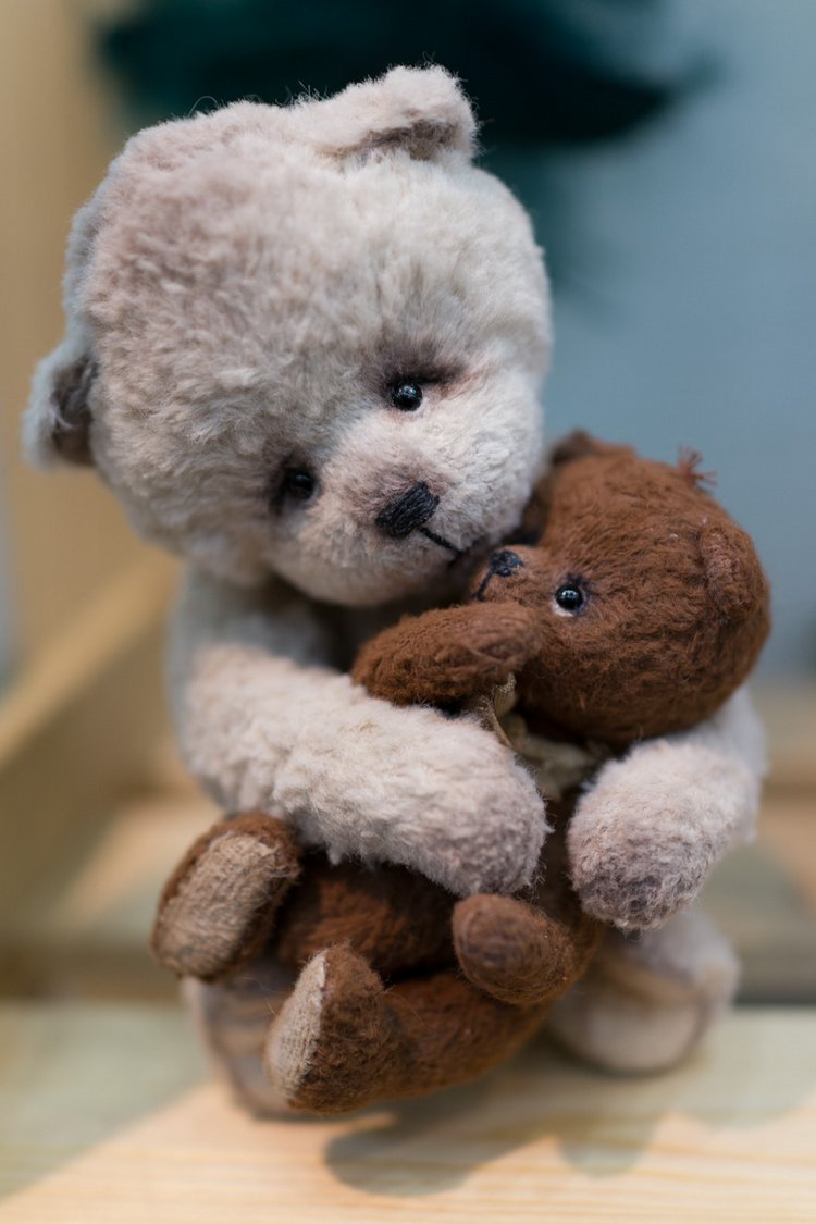 Выставка мишек Тедди "Hello Teddy" 2017 на Тишинке. Часть 2 (фото 4)