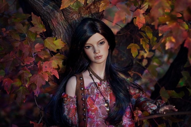 Душа Осени | Бэйбики Душа Осени — Куклы Iplehouse (Иплхаус): BJD (БЖД) (фото 5)