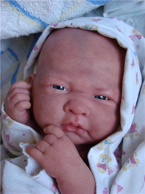 Филипок. Мой переделанный малыш беренжер (фото 2)