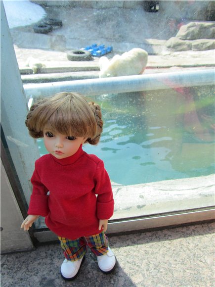 Наша традиционная майская прогулка по Московскому зоопарку