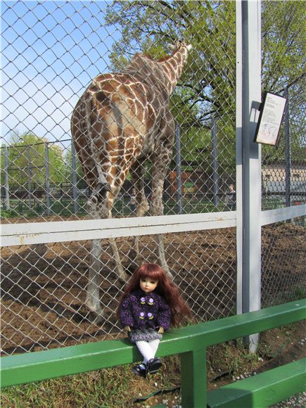 Наша традиционная майская прогулка по Московскому зоопарку