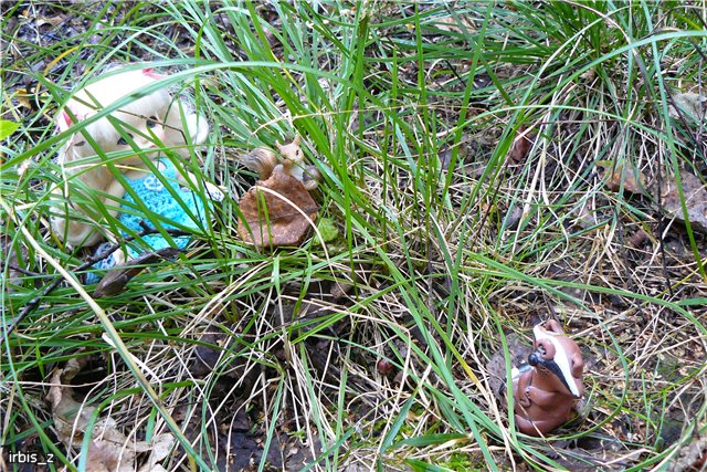 Осенняя сказка. Часть 2. (PukiFee Ante Ариэтти, PukiFee Bonnie Ариэль) | Бэйбики Осенняя сказка. Часть 2. (PukiFee Ante Ариэтти, PukiFee Bonnie Ариэль) (фото 7)