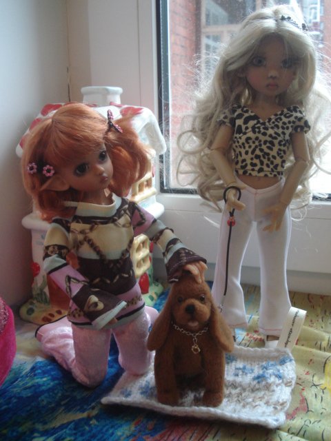 Ура! Мне подарили собаку! Лили и Тилли от Kaye Wiggs обзавелись питомцем (фото 6)