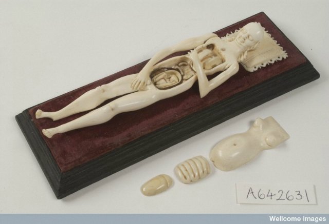 На каждого Бармалея свой Айболит или Куклы Гиппократа. От старинных диагностических кукол до современных медицинских