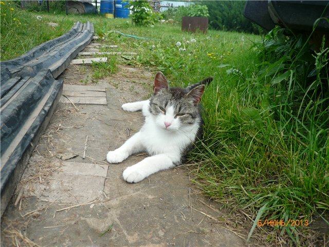 Мои позитивчики — Домашние коллекции кукол: фото собраний