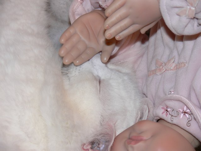 Интересно, кто кого больше любит (фото 7)