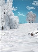 Закрыто. Совместная закупка фонов для фотографирования кукол (фото 10)