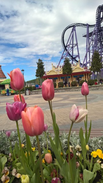 Сочи-парк, или, Русский Диснейленд. Часть 2