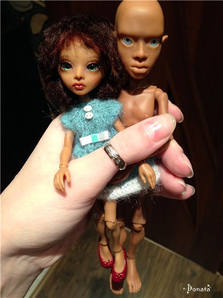 Амигатомания набирает обороты (фото 4)