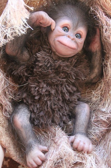 Обезьяныши реборн Элины Кудрявцевой