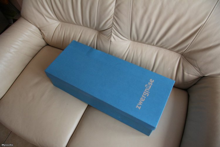 Anne-Johanne II Zwergnase 2004, Анна Ивановна Цвергназе | Бэйбики Anne-Johanne II Zwergnase 2004, Анна Ивановна Цвергназе