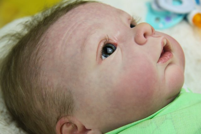 Софийкин! Кукленок реборн Виктории Вишни