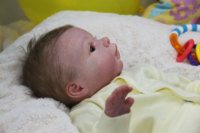 Софийкин! Кукленок реборн Виктории Вишни