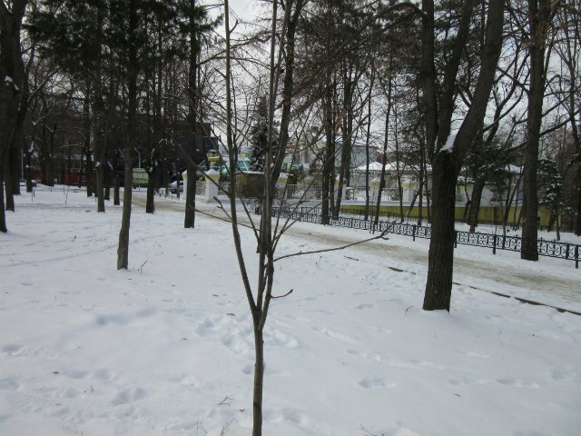 Чем бы заняться юному лорду 30 декабря