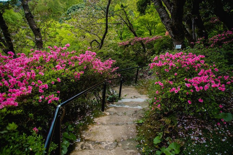 Япония моими глазами (часть 3. Китакюсю и Токио.)