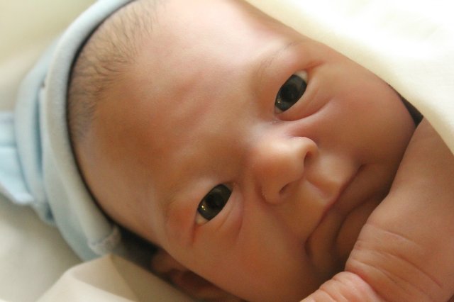 Филипка, кукла реборн Элины Кудрявцевой