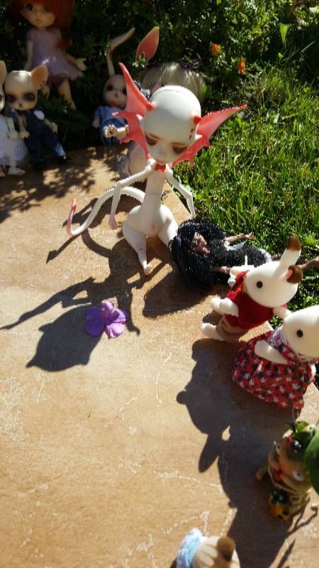 Большая свадьба Панг-Панга и Джулии (фото 4)