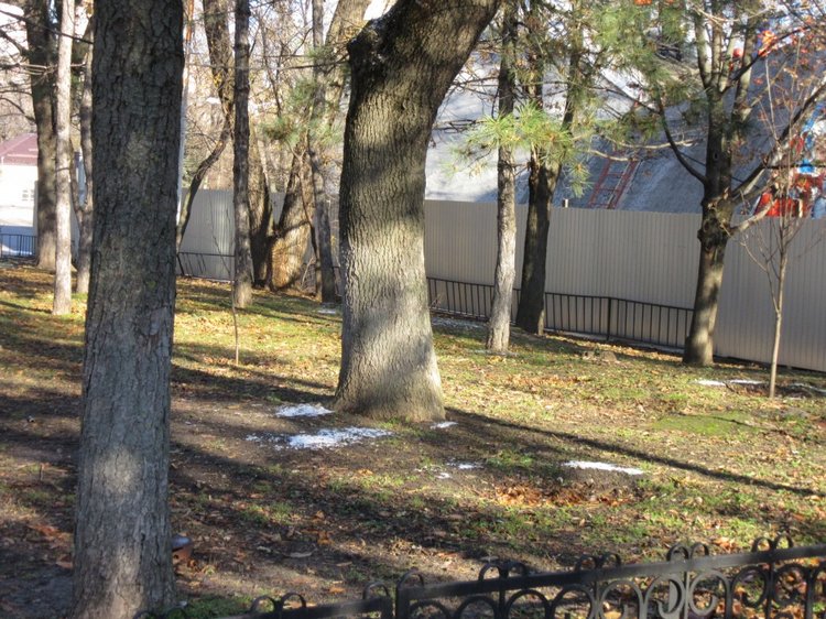 Утренняя прогулка в парке Горького с Соломоном и Анхен, или О сложностях гуляния с собакой и куклой одновременно