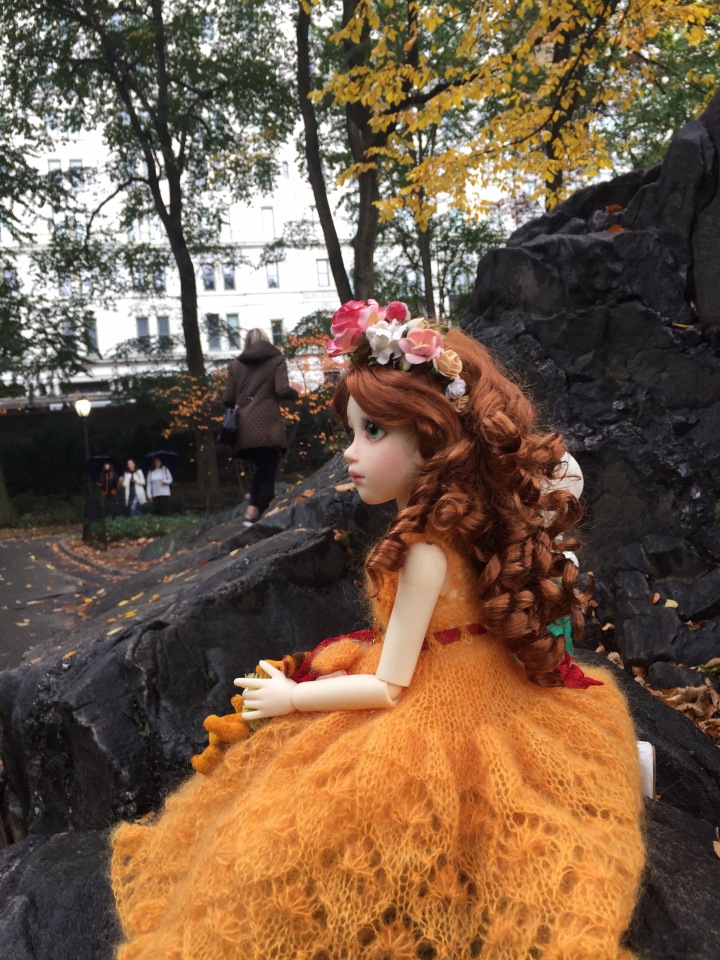 Луна гуляет в Центральном Парке в Манхаттане (фото 3)