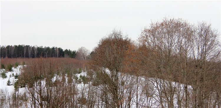 Весеннее путешествие. Продолжение (фото 2)