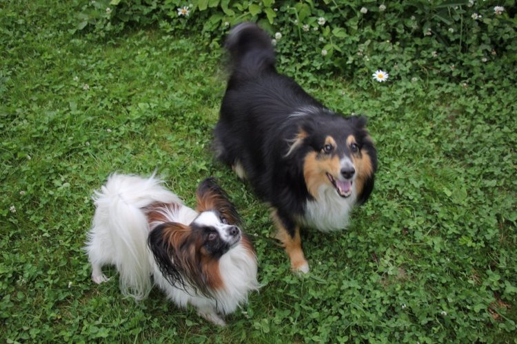 Это было прошлым летом! По следам конкурса "Рыжий, рыжий, конопатый..!"