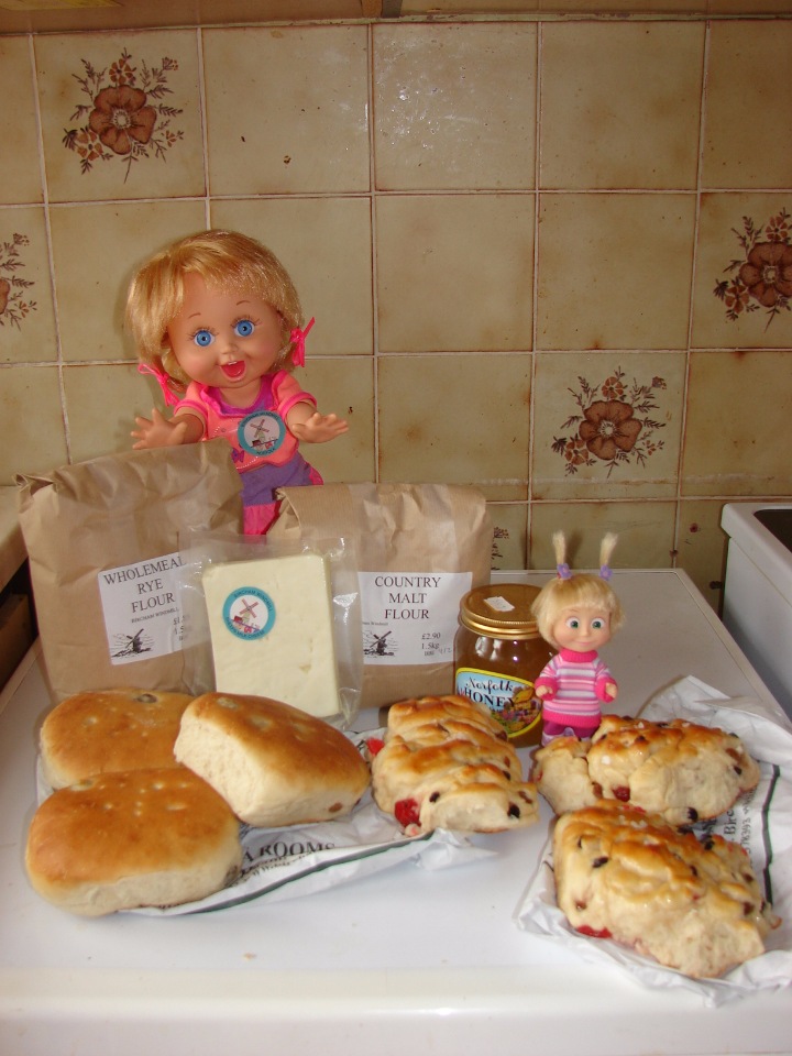 Как Пенни и Машка мельницу осматривали