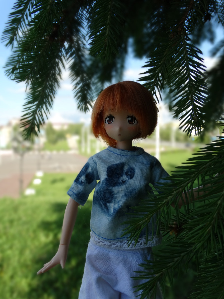 Путешествие с Азоночками Azone doll