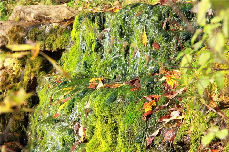 Тверской Водопад — Туризм и путешествия: фотоотчеты из поездок