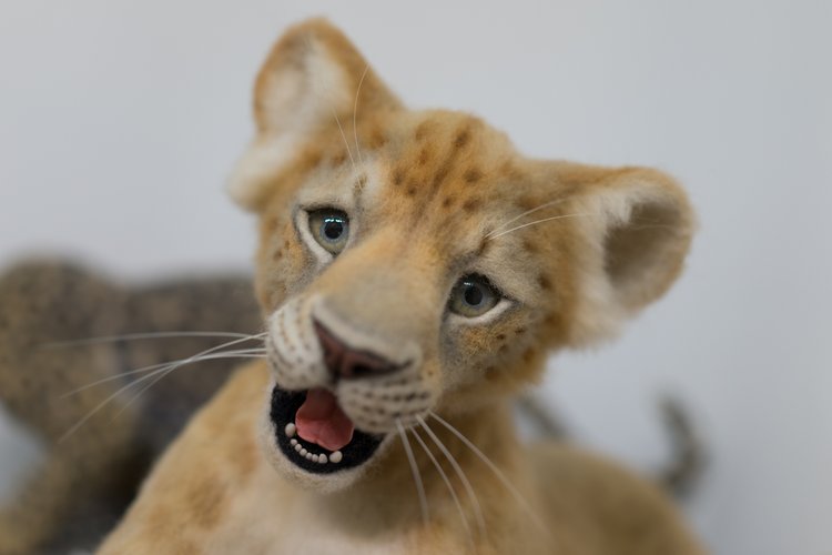 Искусство куклы. VIII Моcковская международная выставка. Декабрь 2017. Часть 2 | Бэйбики Искусство куклы. VIII Моcковская международная выставка. Декабрь 2017. Часть 2