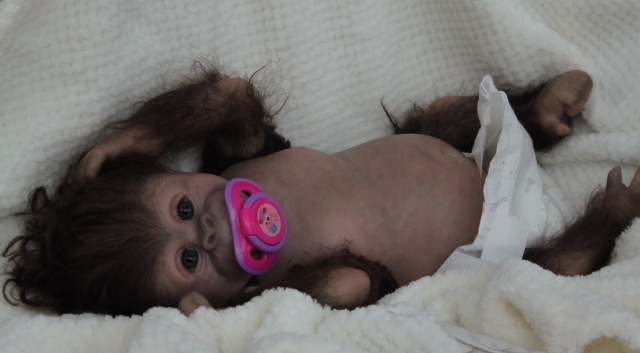 Карамелька кукла-реборн Элины Кудрявцевой