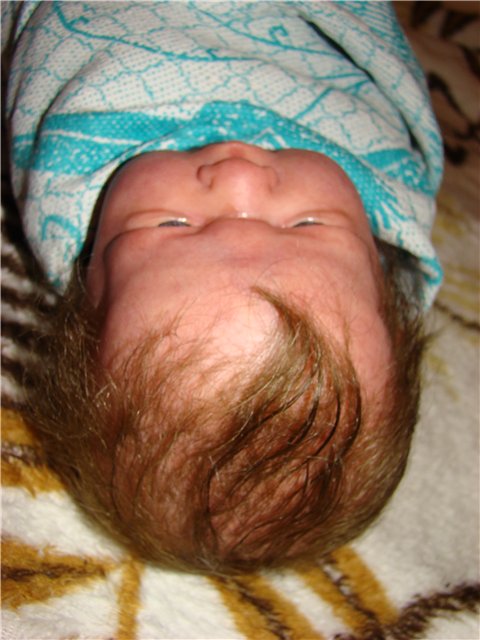 Филипок. Мой переделанный малыш беренжер