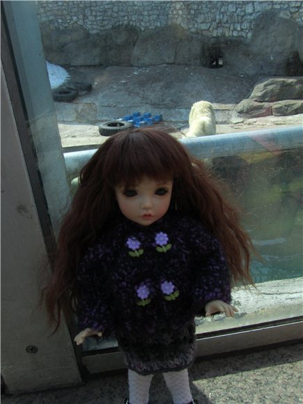 Наша традиционная майская прогулка по Московскому зоопарку