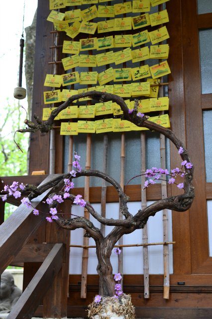 Старый парк — Туризм и путешествия: фотоотчеты из поездок (фото 8)