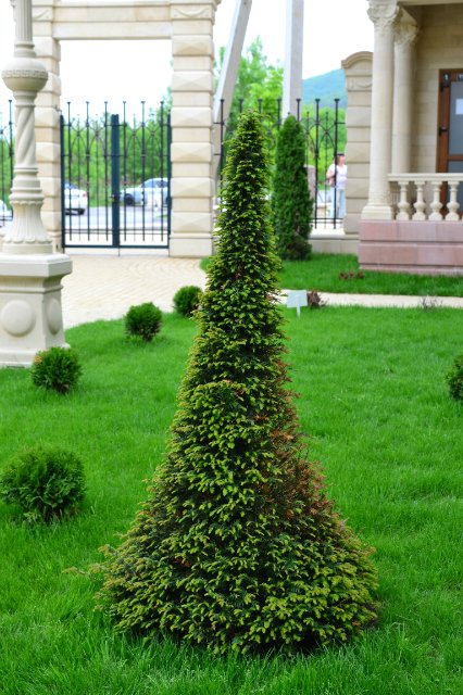 Старый парк — Туризм и путешествия: фотоотчеты из поездок