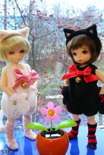 Планета Кошек. LittleFee Ante Elf Зарянка и LittleFee Leah Миланка | Бэйбики Планета Кошек. LittleFee Ante Elf Зарянка и LittleFee Leah Миланка