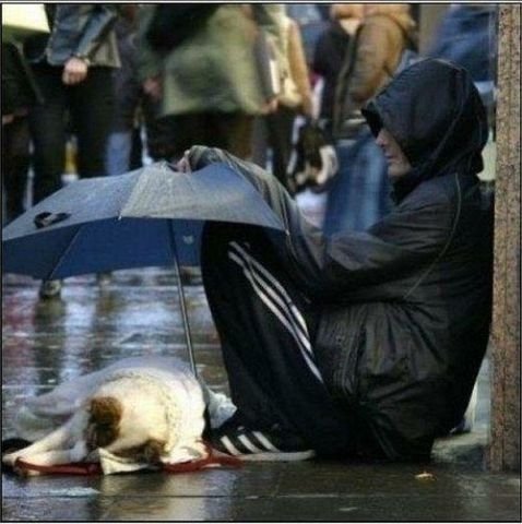 Не просто фото | Бэйбики Не просто фото — Болталка и разговоры обо всем: жизнь