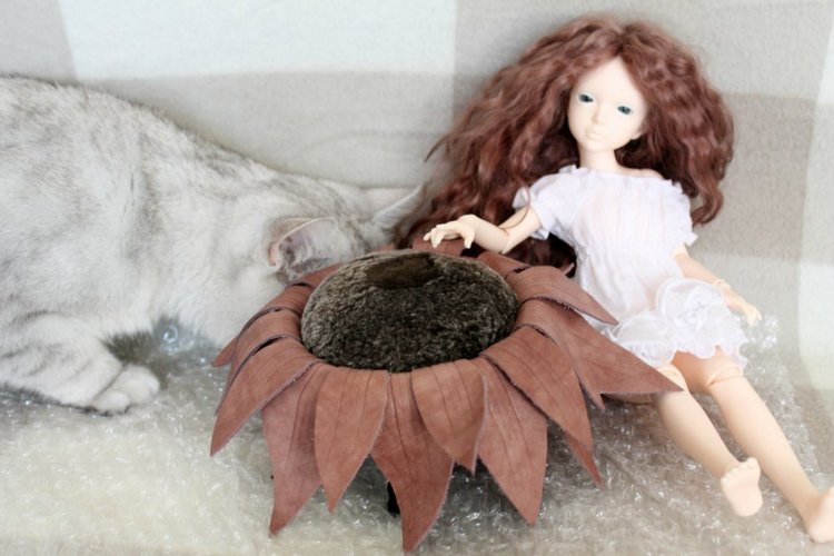 Алиса из страны Иплхауз. Lisa, Iplehouse (фото 7)